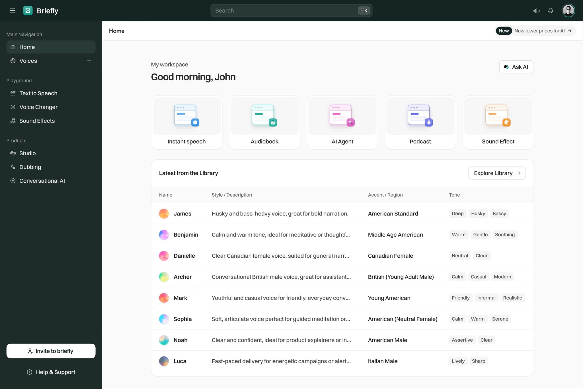 Briefly voice AI platform dashboard UI